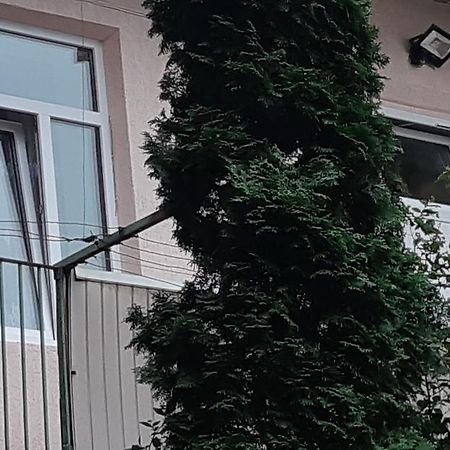 Transfer Apartment Lviv Luaran gambar