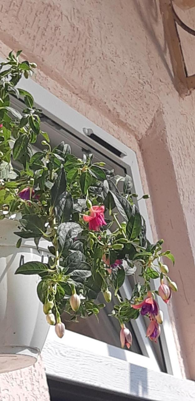 Transfer Apartment Lviv Luaran gambar